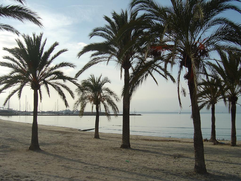 Bluesea Mediodia Hotell El Arenal  Eksteriør bilde